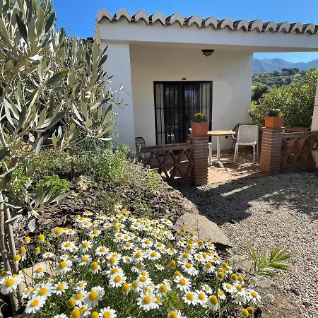 Casa Del Limon