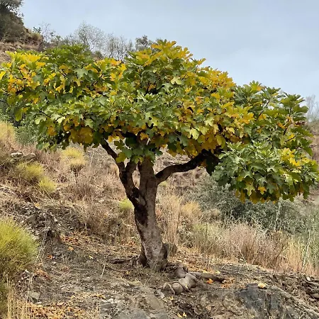 דירה Casa Del Limon *